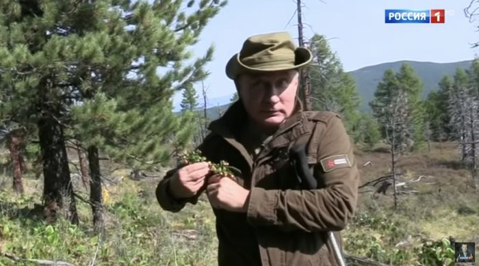 �����������: http://members.hrencore.ru/store/Putin-sobiraet-brusniku.jpg